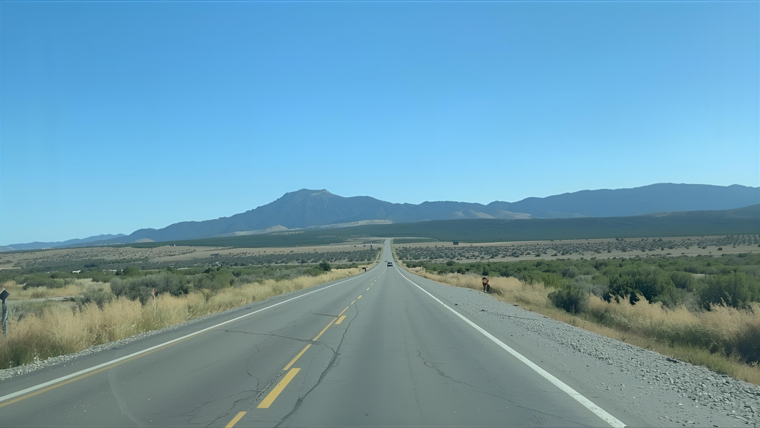 Car Travel Comfort Essentials for Long Drives